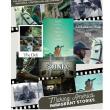 Screenings, November 18, 2026, 11/18/2026, Short Docs Illuminating the Immigrant Story (+ Filmmaker Q&A)