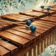 Concerts, November 03, 2026, 11/03/2026, Virtuosi and Music for a Remarkable Instrument