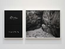 Gallery Talks, November 07, 2026, 11/07/2026, Artist & Scholar Discuss&nbsp;Ethical Quandaries of Creative Acts&nbsp;