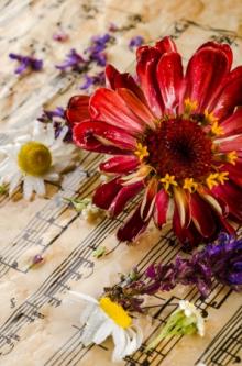 Concerts, April 23, 2025, 04/23/2025, Prize-Winning Oboist Performs Works by Mozart and More (In Person AND Online!)