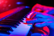 Concerts, May 04, 2025, 05/04/2025, Spring Jazz Festival with Multiple Acts