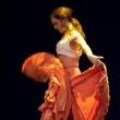 Dance Performances, May 04, 2025, 05/04/2025, Cinco de Mayo Celebration with World Renowned Performers