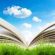 Others, April 19, 2025, 04/19/2025, Book Swap Meet Up